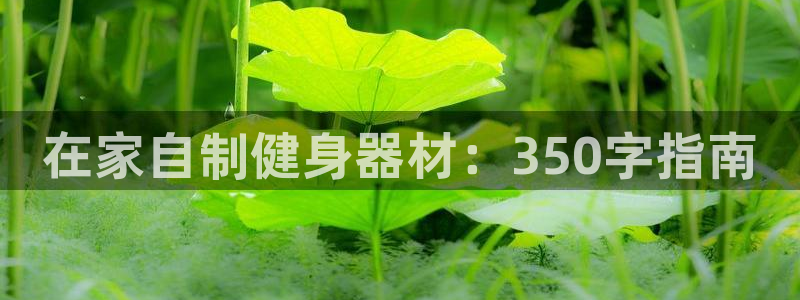极悦平台app安全吗:在家自制健身器材:350字指南