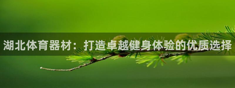 极悦平台官方网址是什么:湖北体育器材:打造卓越健身体验的优质