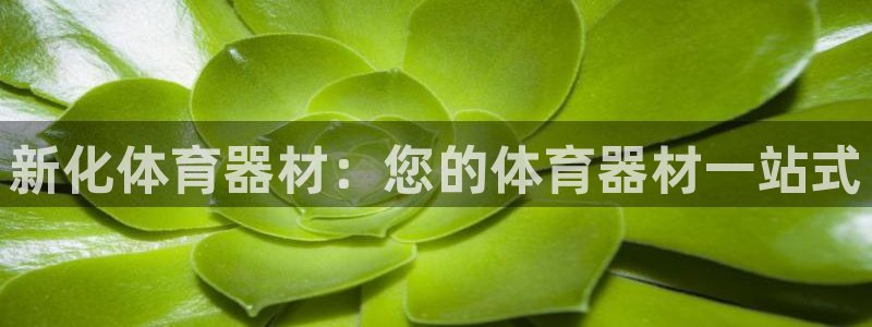 极悦平台是干什么的软件:新化体育器材:您的体育器材一站式